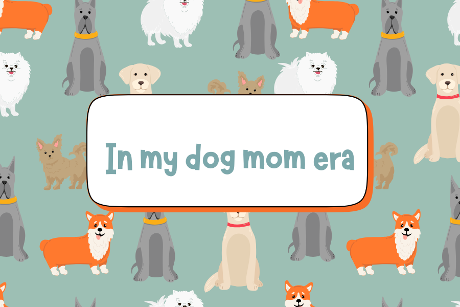 In My Dog Era - Card Candles