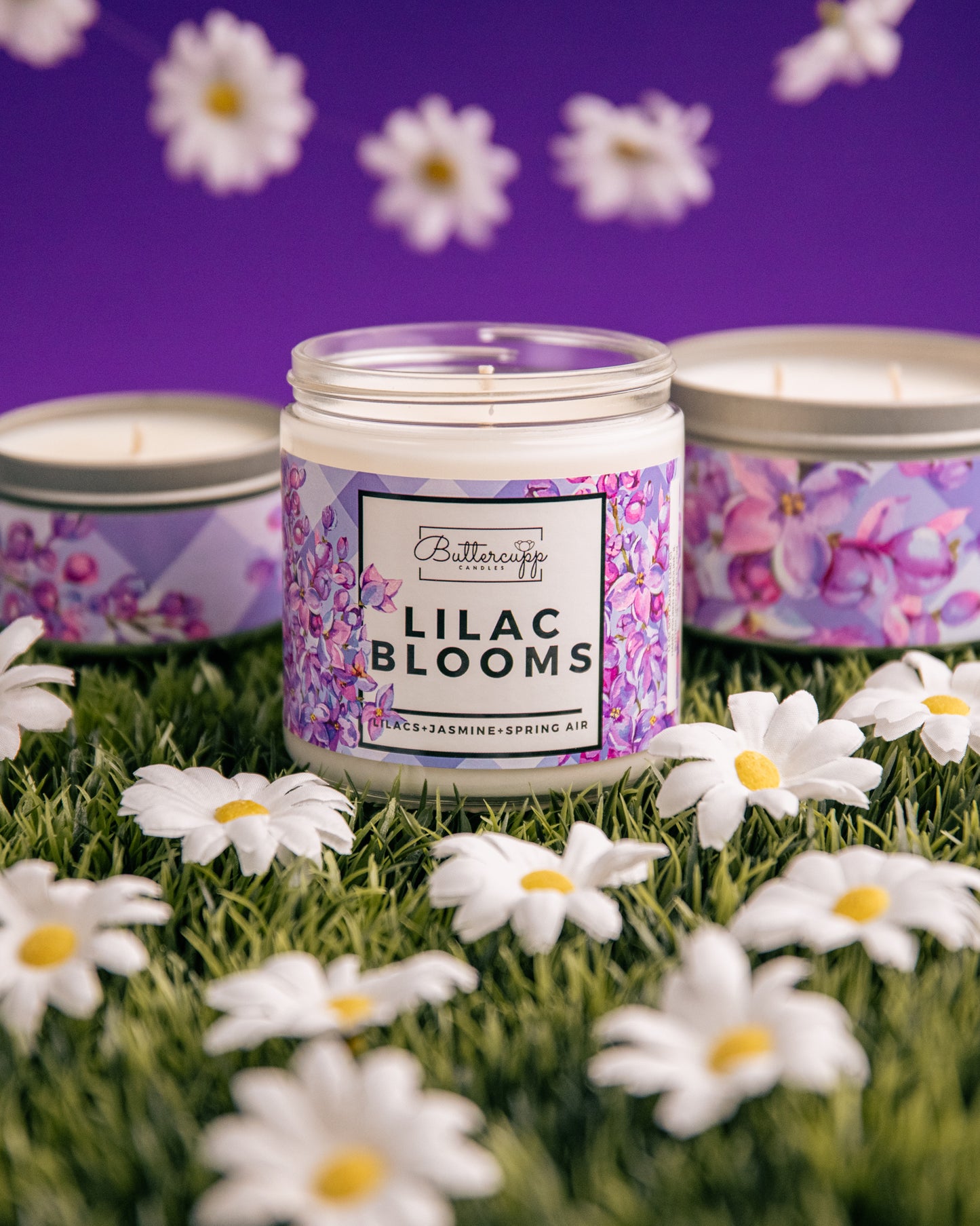 Lilac Blooms